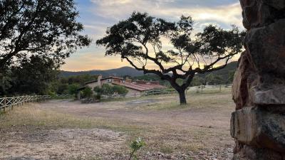 Apartamentos Rurales En Plena Sierra