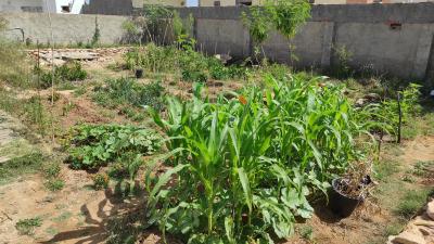 Charmant logement avec jardin en permaculture