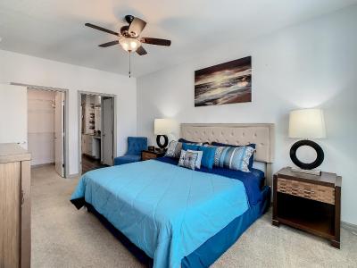 Large Apartment, Close To Disney