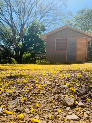 Cabañas del Bosque