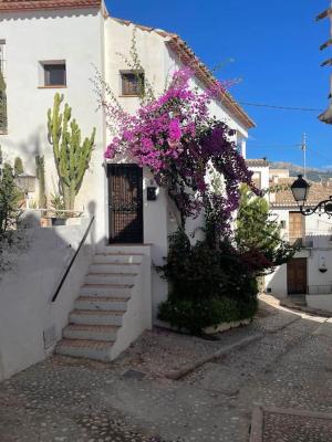 Classical corner town house in historical centre