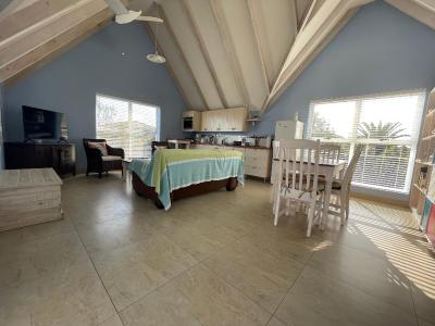 De Blauwvoet - Dolfyn (Sunset Beach)