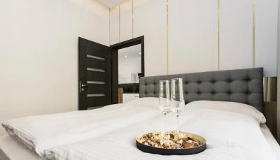 Luxury Apartment on Wenceslas Square