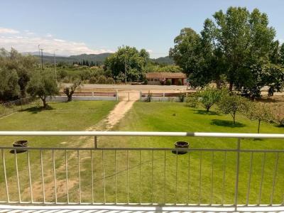 Ancient Olympia - Entire family house