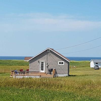 the Small Brown Cottage