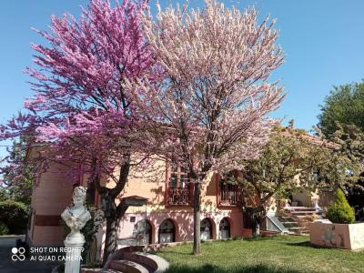 Finca DeNuñez