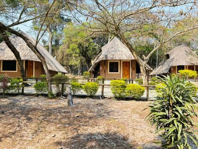 THE GALAXY FOREST LODGE