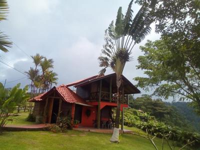 Hotel, Restaurante y Mirador Bosque Alegre