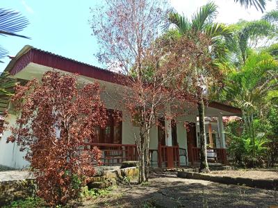 Review Tangkoko Jungle Homestay