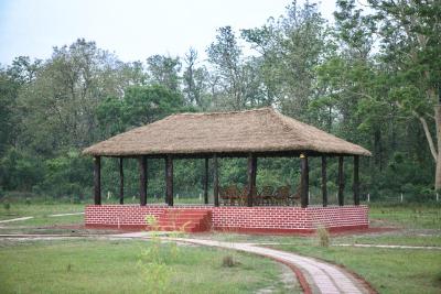 Camp TigerLily - Dudhwa