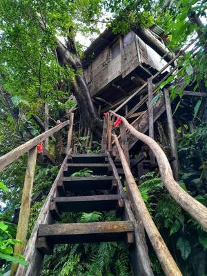 Castle Tree House And Bungalow