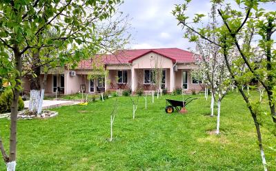 Cozy Family Cottages