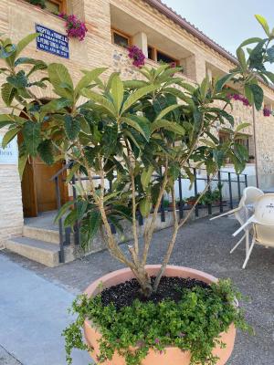 Casa Rural Hospital de las Palabras