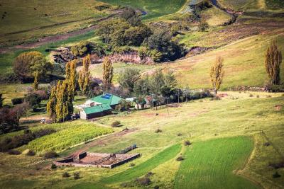 Frosty Peaks Farmstay