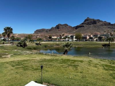 Postcard Picture Views of the Colorado River