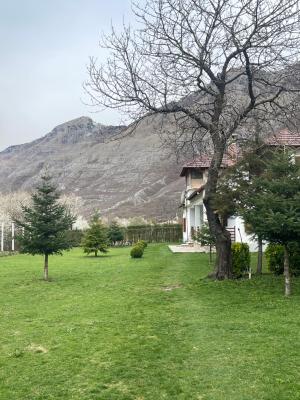 Paja Guesthouse - Camping