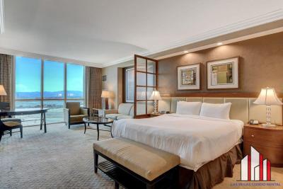 MGM Signature-17-718 Jacuzzi Studio