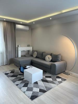 Chicago Modern 1BDR apt near Arena 8888 Sofia and SofiaMed