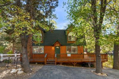 Magic Mountain - Three bedroom log cabin located in a quiet neighborhood!
