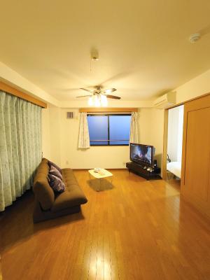 honeys guest house elevator , wash machine, huge closet space, private bathroom, walk to skytree in 10 minutes