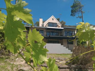 BestPlaceEver - Luxury House with Vineyard Views