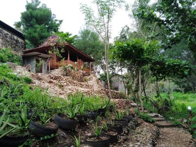 Review Fam Sugiono Cottage - Wooden House