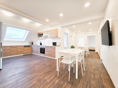 Tolstov Apartments - City Center Apartments with 5 Rooms - 10 Min Messe DUS