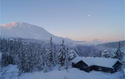Stunning Home In Rjukan With Wifi