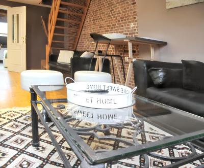 Spacious apartment in Brussels 100 m² with shared terrace