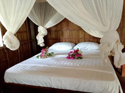 Review Black Coral Raja Ampat Homestay