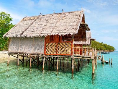 Review Rosye homestay raja ampat
