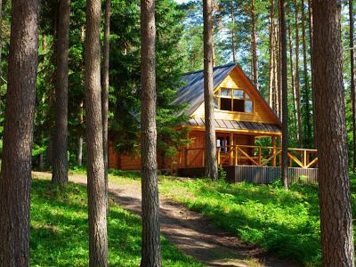 The Cabin in the Woods