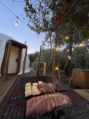 Glamping Domo 7 Tazas con Tinaja