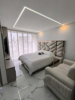 Apartaestudio Asturiano 401