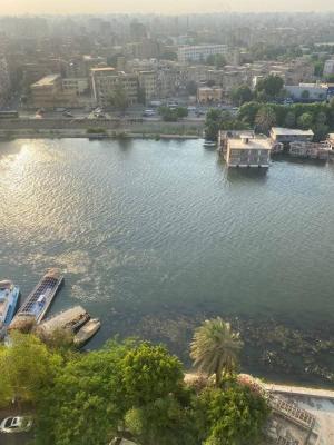 شقه بشارع عبد العزيز المنيل