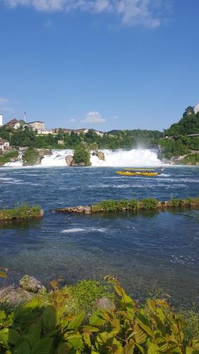 B&B Jestetten - Fewo Near Rheinfall - Bed and Breakfast Jestetten