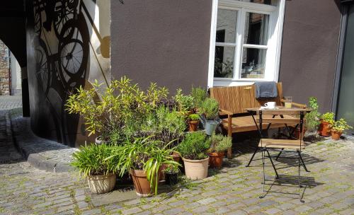 Gastehaus Vanille & Chocolat