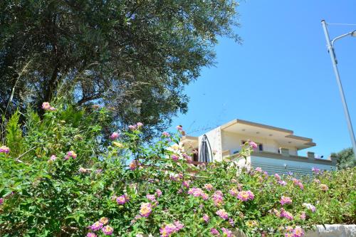  Villa Ikaros in Kalamítsion Amigdhálion