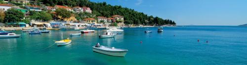  Apartment Teuta in Kršan