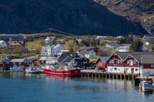 Superior Cottage (2 Adults) with Habor view