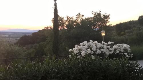 Piccolo Relais Galletto di Marzo Spa e relax solo per due