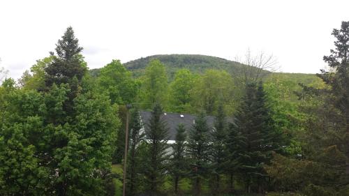 Nordic Condo Nordic Condo