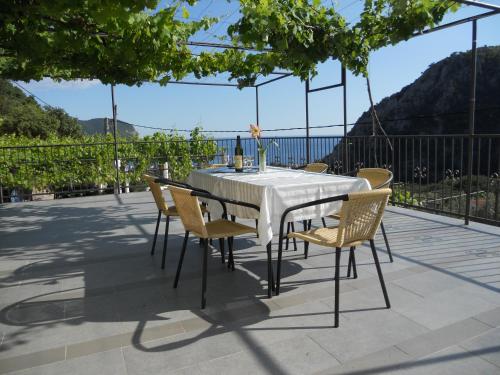 Apartment Djukovic in Petrovac