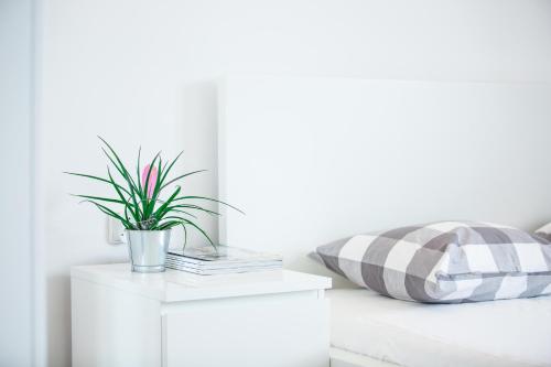 Apartament 8, Zakopane (photo 2)