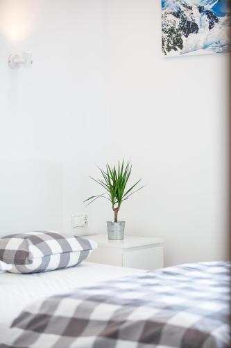 Apartament 8, Zakopane (photo 3)