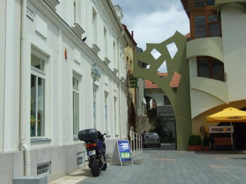 Hotel Diána - image 11