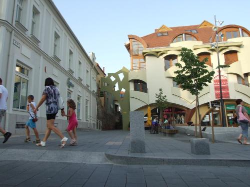 Hotel Diána - main image