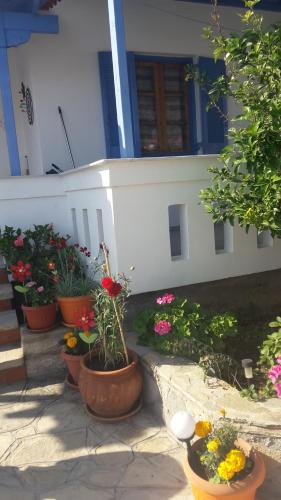 Aspres in Marathokampos