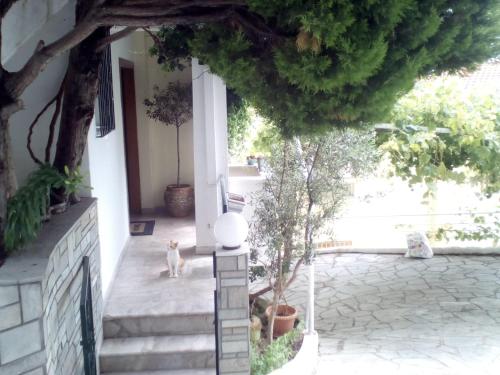  Kavala Apartment in Kavala