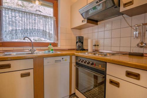 Konyha, Gib mir funf! Ferienwohnung in St. Blasien in Sankt Blasien